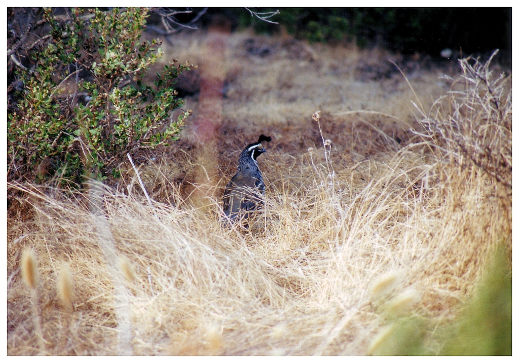 15 - Monterey Bay (5).jpg